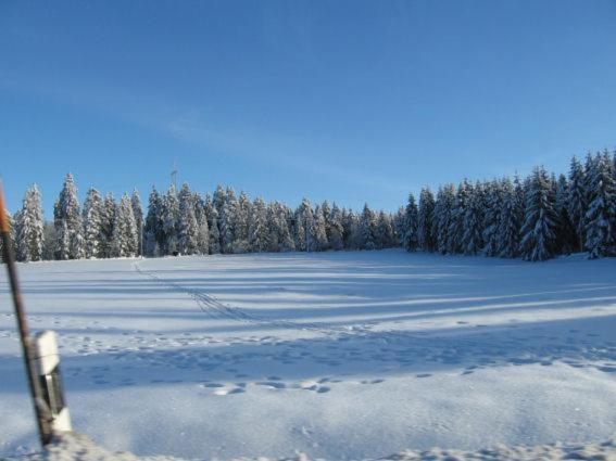 Ferienwohnung Bodehexe 2 Braunlage Esterno foto